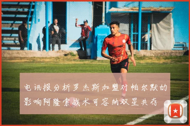 电讯报分析罗杰斯加盟对帕尔默的影响阿隆索战术可容纳双星共存