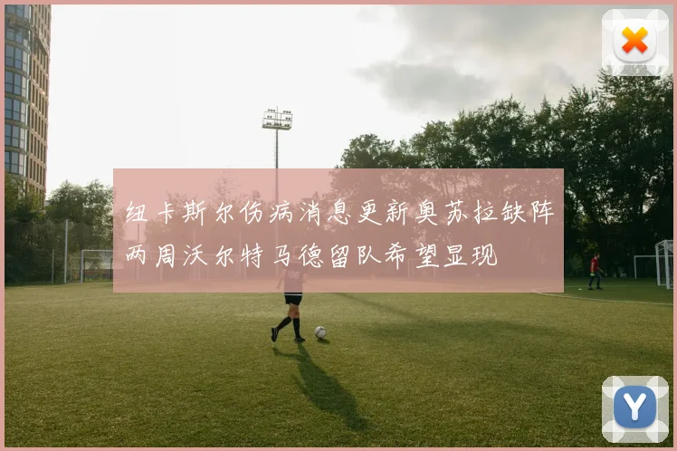 纽卡斯尔伤病消息更新奥苏拉缺阵两周沃尔特马德留队希望显现