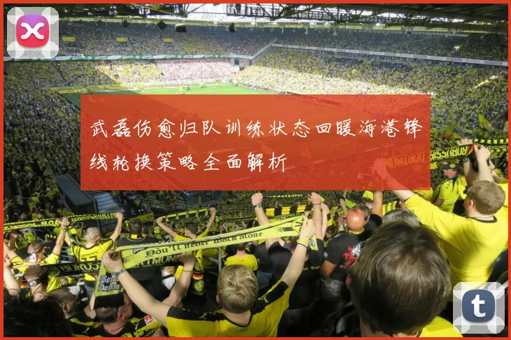 武磊伤愈归队训练状态回暖海港锋线轮换策略全面解析