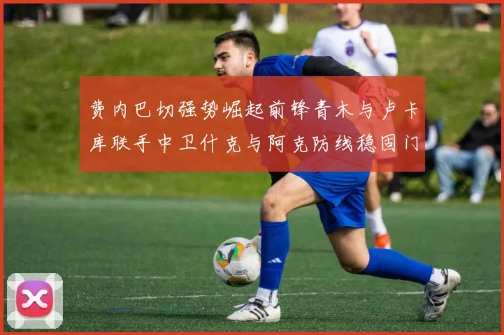 费内巴切强势崛起前锋青木与卢卡库联手中卫什克与阿克防线稳固门将埃德松实力不容小觑