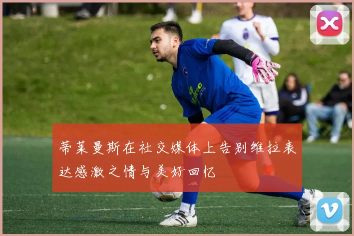 蒂莱曼斯在社交媒体上告别维拉表达感激之情与美好回忆